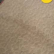 10477444_723256837753000_188426218742880689_o