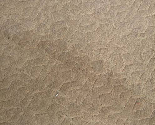 10477444_723256837753000_188426218742880689_o