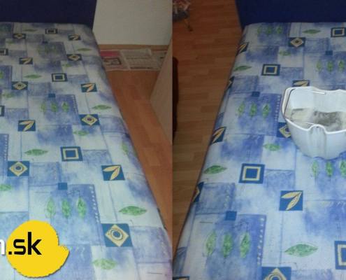 10710395_725434814201869_4680062401139810391_o