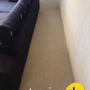 10845896_10204304316946106_3030306872870887780_n