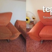 11034349_788164614595555_3259347612747495355_o