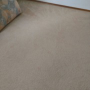 11062724_804313089647374_813041133817713838_o