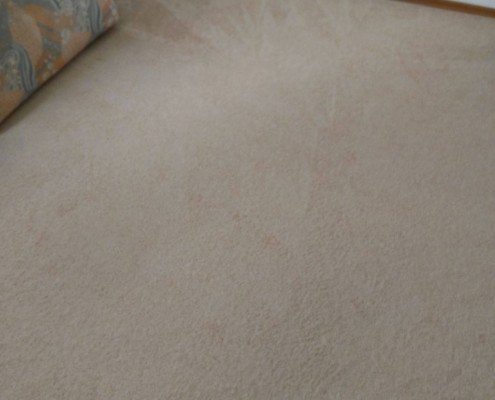 11062724_804313089647374_813041133817713838_o