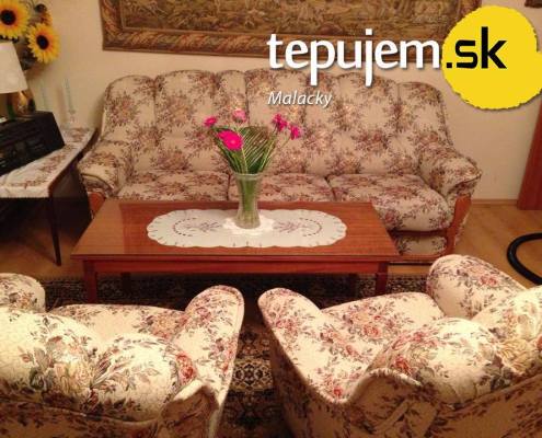 1525095_731974950214522_125257650735393734_n