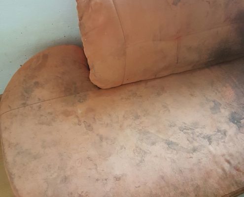 20161213_120817_resized