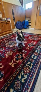 259515596_286360690078905_7975181193822285892_n