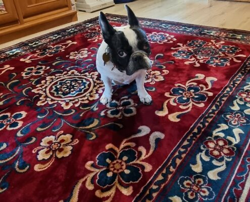 259515596_286360690078905_7975181193822285892_n